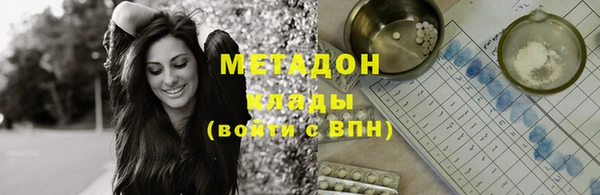 прущие грибы Инсар