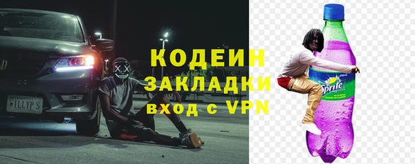 прущие грибы Инсар
