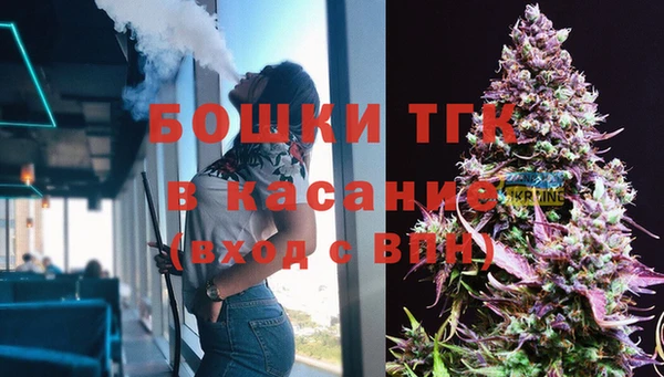 прущие грибы Инсар