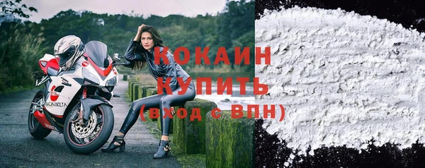 дживик Иннополис