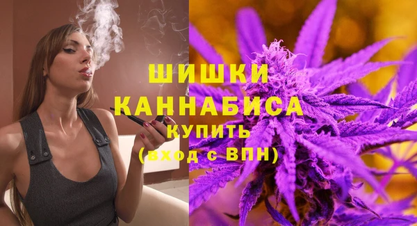 прущие грибы Инсар