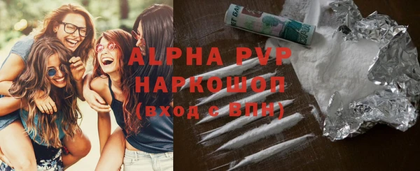 прущие грибы Инсар