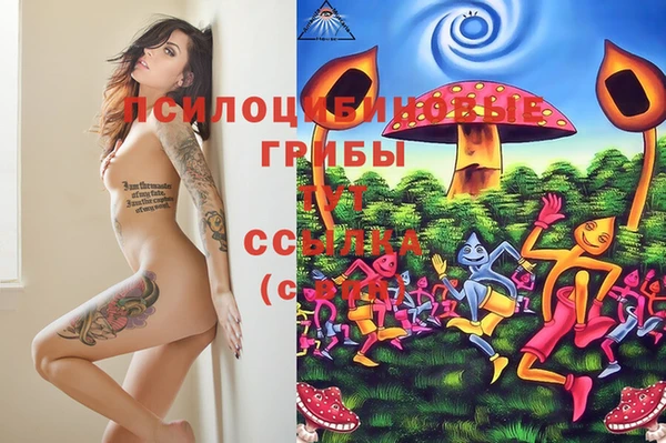 прущие грибы Инсар