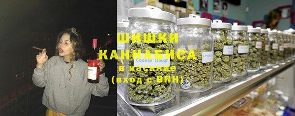 дживик Иннополис