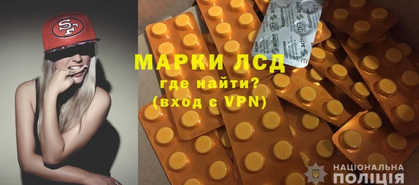 прущие грибы Инсар