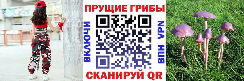Галлюциногенные грибы Cubensis  Купить закладки  Валуйки 
